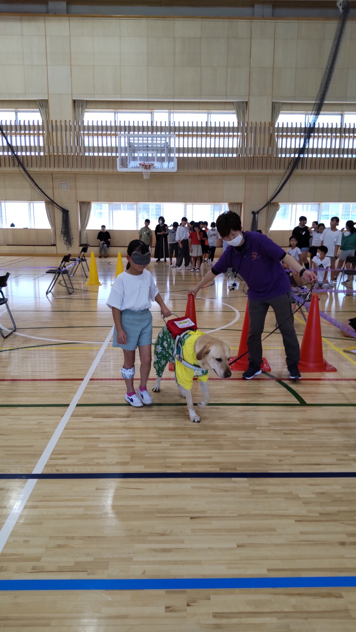 盲導犬と歩行体験をする児童の様子